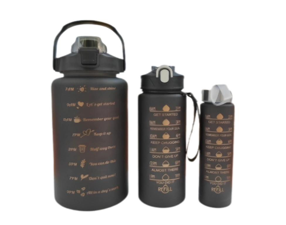 3 In 1 Water Bottle