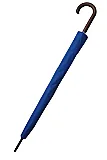 Umbrella (large) image 1